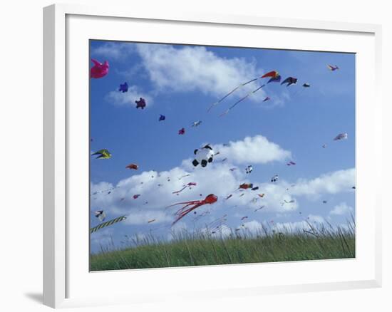 Kites Flying Along the Coastline, International Kite Festival, Long Beach, Washington, USA-Merrill Images-Framed Photographic Print