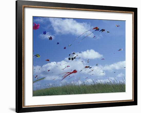 Kites Flying Along the Coastline, International Kite Festival, Long Beach, Washington, USA-Merrill Images-Framed Photographic Print