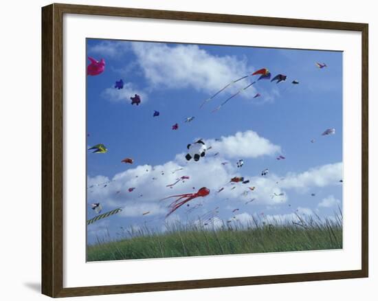 Kites Flying Along the Coastline, International Kite Festival, Long Beach, Washington, USA-Merrill Images-Framed Photographic Print