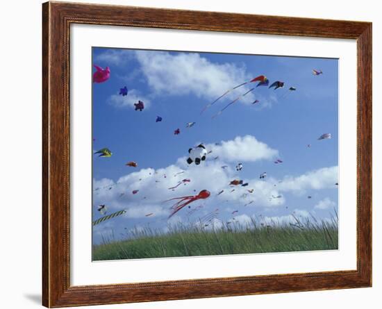 Kites Flying Along the Coastline, International Kite Festival, Long Beach, Washington, USA-Merrill Images-Framed Photographic Print