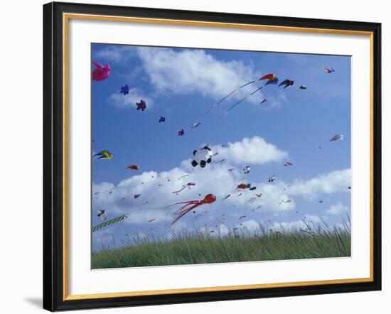 Kites Flying Along the Coastline, International Kite Festival, Long Beach, Washington, USA-Merrill Images-Framed Photographic Print