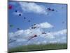 Kites Flying Along the Coastline, International Kite Festival, Long Beach, Washington, USA-Merrill Images-Mounted Photographic Print