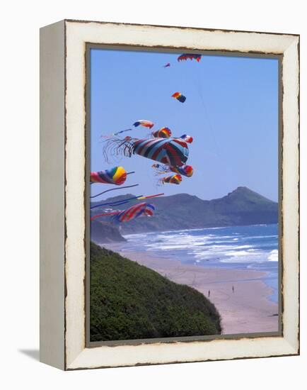 Kites Flying on the Oregon Coast, USA-Janis Miglavs-Framed Premier Image Canvas