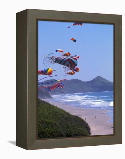 Kites Flying on the Oregon Coast, USA-Janis Miglavs-Framed Premier Image Canvas