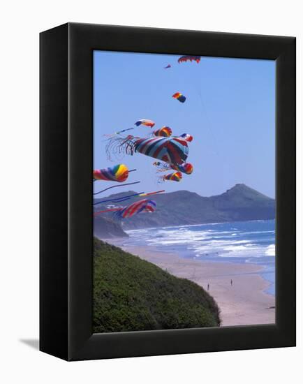 Kites Flying on the Oregon Coast, USA-Janis Miglavs-Framed Premier Image Canvas