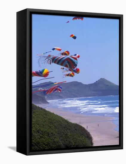 Kites Flying on the Oregon Coast, USA-Janis Miglavs-Framed Premier Image Canvas