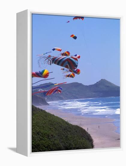 Kites Flying on the Oregon Coast, USA-Janis Miglavs-Framed Premier Image Canvas