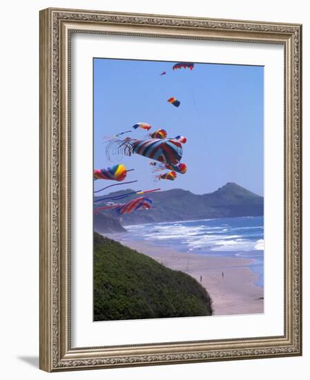 Kites Flying on the Oregon Coast, USA-Janis Miglavs-Framed Photographic Print