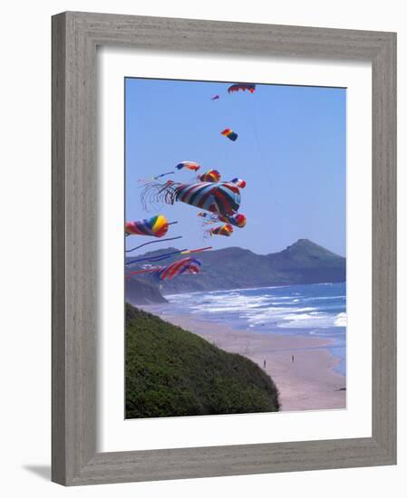 Kites Flying on the Oregon Coast, USA-Janis Miglavs-Framed Photographic Print