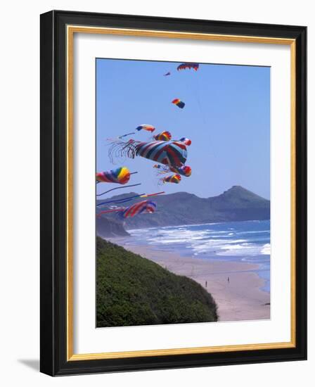 Kites Flying on the Oregon Coast, USA-Janis Miglavs-Framed Photographic Print