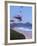 Kites Flying on the Oregon Coast, USA-Janis Miglavs-Framed Photographic Print