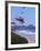 Kites Flying on the Oregon Coast, USA-Janis Miglavs-Framed Photographic Print