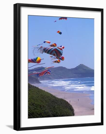 Kites Flying on the Oregon Coast, USA-Janis Miglavs-Framed Photographic Print