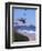 Kites Flying on the Oregon Coast, USA-Janis Miglavs-Framed Photographic Print