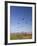 Kites, International Kite Festival, Long Beach, Washington, USA-Jamie & Judy Wild-Framed Photographic Print