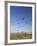 Kites, International Kite Festival, Long Beach, Washington, USA-Jamie & Judy Wild-Framed Photographic Print