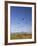 Kites, International Kite Festival, Long Beach, Washington, USA-Jamie & Judy Wild-Framed Photographic Print