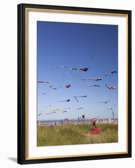 Kites, International Kite Festival, Long Beach, Washington, USA-Jamie & Judy Wild-Framed Photographic Print