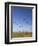 Kites, International Kite Festival, Long Beach, Washington, USA-Jamie & Judy Wild-Framed Photographic Print