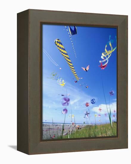 Kites on the Beach, Long Beach, Washington, USA-Merrill Images-Framed Premier Image Canvas