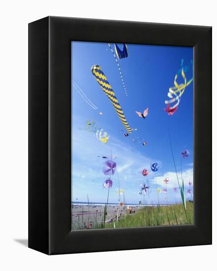 Kites on the Beach, Long Beach, Washington, USA-Merrill Images-Framed Premier Image Canvas