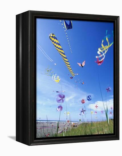 Kites on the Beach, Long Beach, Washington, USA-Merrill Images-Framed Premier Image Canvas
