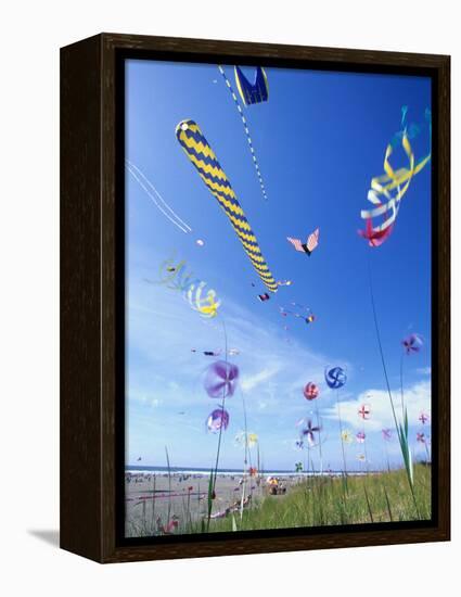 Kites on the Beach, Long Beach, Washington, USA-Merrill Images-Framed Premier Image Canvas