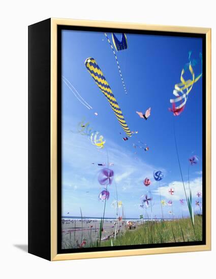 Kites on the Beach, Long Beach, Washington, USA-Merrill Images-Framed Premier Image Canvas