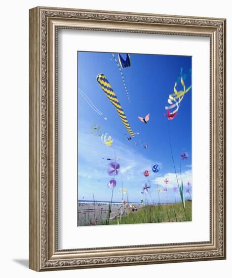 Kites on the Beach, Long Beach, Washington, USA-Merrill Images-Framed Premium Photographic Print