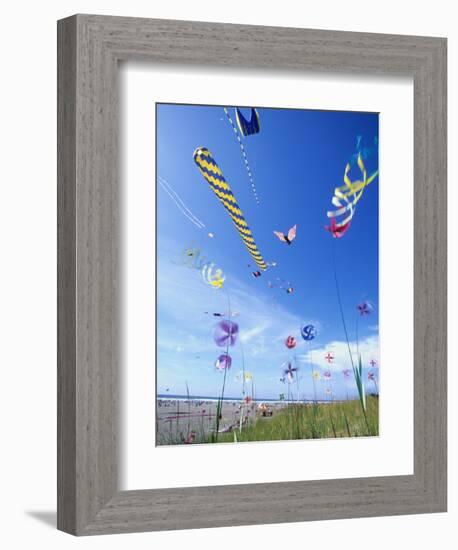 Kites on the Beach, Long Beach, Washington, USA-Merrill Images-Framed Premium Photographic Print