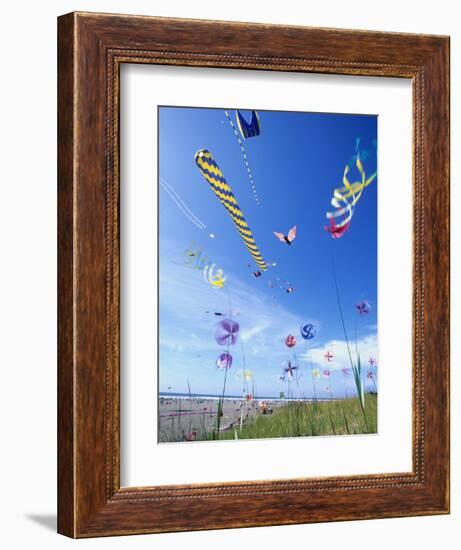 Kites on the Beach, Long Beach, Washington, USA-Merrill Images-Framed Premium Photographic Print