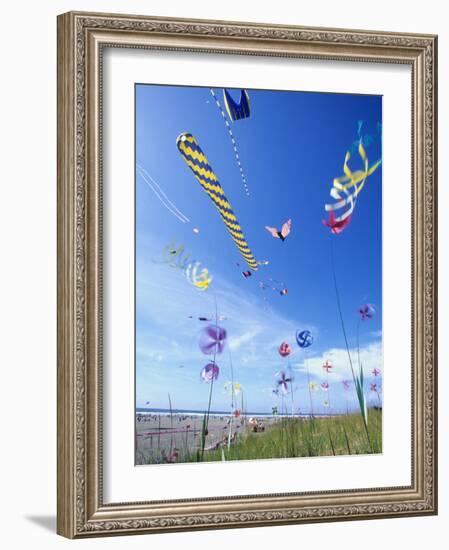 Kites on the Beach, Long Beach, Washington, USA-Merrill Images-Framed Photographic Print