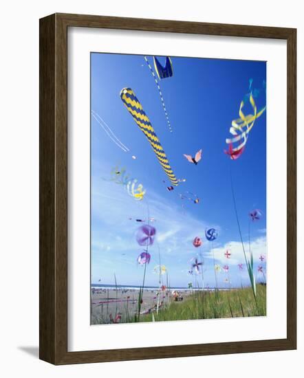 Kites on the Beach, Long Beach, Washington, USA-Merrill Images-Framed Photographic Print