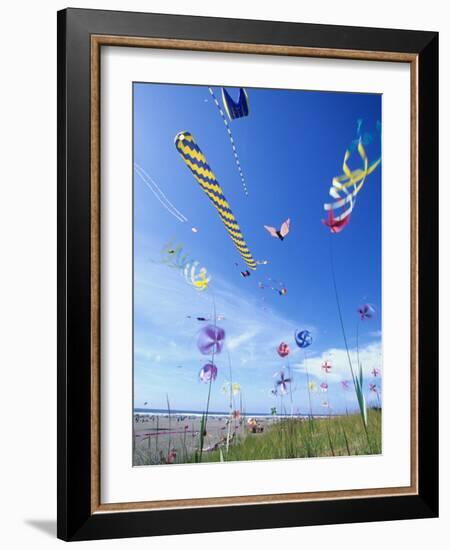 Kites on the Beach, Long Beach, Washington, USA-Merrill Images-Framed Photographic Print