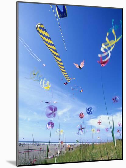 Kites on the Beach, Long Beach, Washington, USA-Merrill Images-Mounted Photographic Print