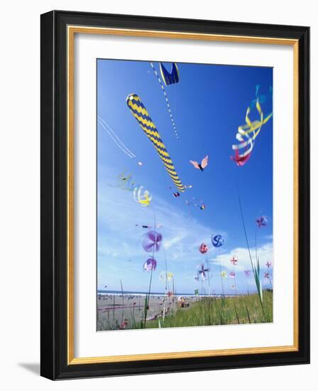 Kites on the Beach, Long Beach, Washington, USA-Merrill Images-Framed Photographic Print