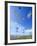 Kites on the Beach, Long Beach, Washington, USA-Merrill Images-Framed Photographic Print