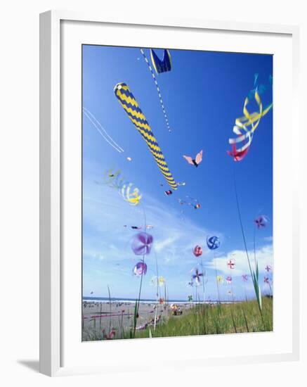 Kites on the Beach, Long Beach, Washington, USA-Merrill Images-Framed Photographic Print