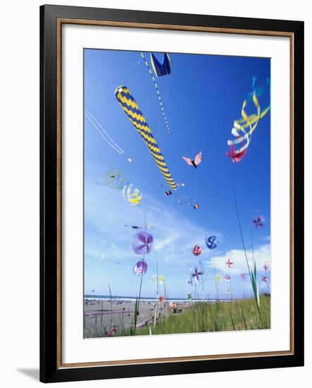 Kites on the Beach, Long Beach, Washington, USA-Merrill Images-Framed Photographic Print