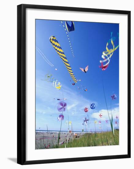 Kites on the Beach, Long Beach, Washington, USA-Merrill Images-Framed Photographic Print