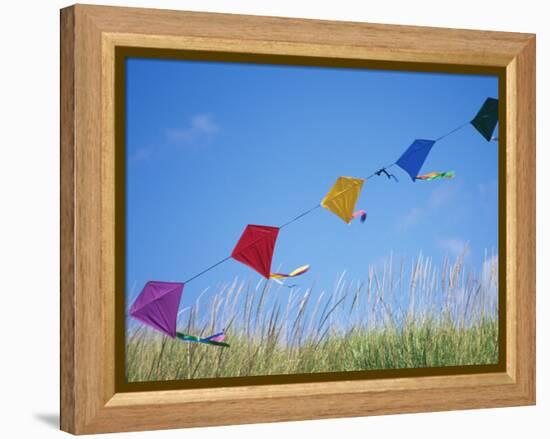 Kites on the Beach, Long Beach, Washington, USA-Merrill Images-Framed Premier Image Canvas