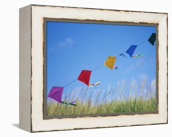 Kites on the Beach, Long Beach, Washington, USA-Merrill Images-Framed Premier Image Canvas