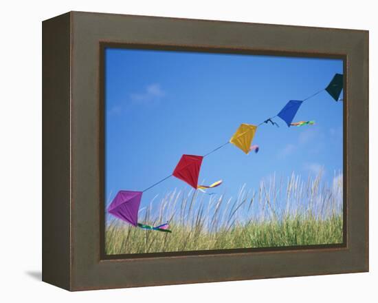 Kites on the Beach, Long Beach, Washington, USA-Merrill Images-Framed Premier Image Canvas