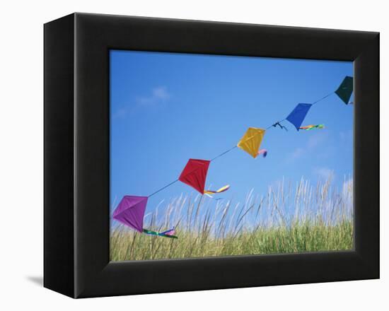 Kites on the Beach, Long Beach, Washington, USA-Merrill Images-Framed Premier Image Canvas
