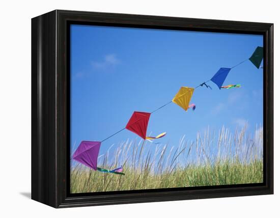 Kites on the Beach, Long Beach, Washington, USA-Merrill Images-Framed Premier Image Canvas