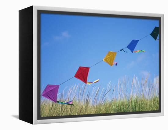 Kites on the Beach, Long Beach, Washington, USA-Merrill Images-Framed Premier Image Canvas