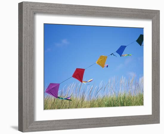 Kites on the Beach, Long Beach, Washington, USA-Merrill Images-Framed Photographic Print