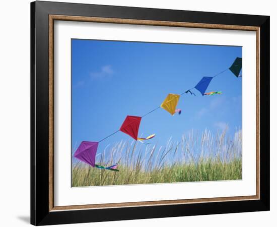 Kites on the Beach, Long Beach, Washington, USA-Merrill Images-Framed Photographic Print