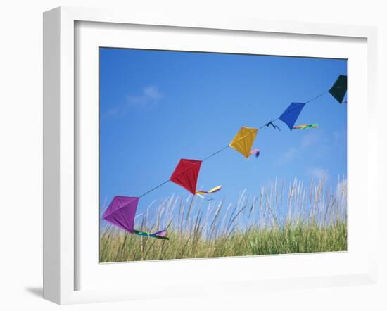 Kites on the Beach, Long Beach, Washington, USA-Merrill Images-Framed Photographic Print