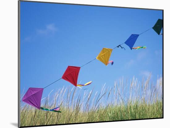 Kites on the Beach, Long Beach, Washington, USA-Merrill Images-Mounted Photographic Print